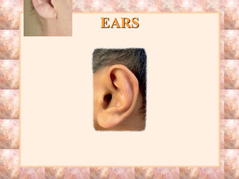 EARS